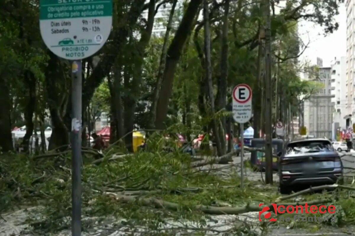 Novo acidente com galho na Praça Osório em Curitiba fere mulher