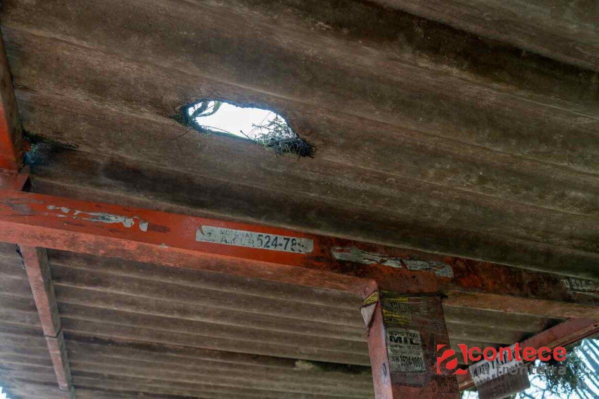 Transporte em Foz do Iguaçu: subsídio pode chegar a R$ 44 milhões