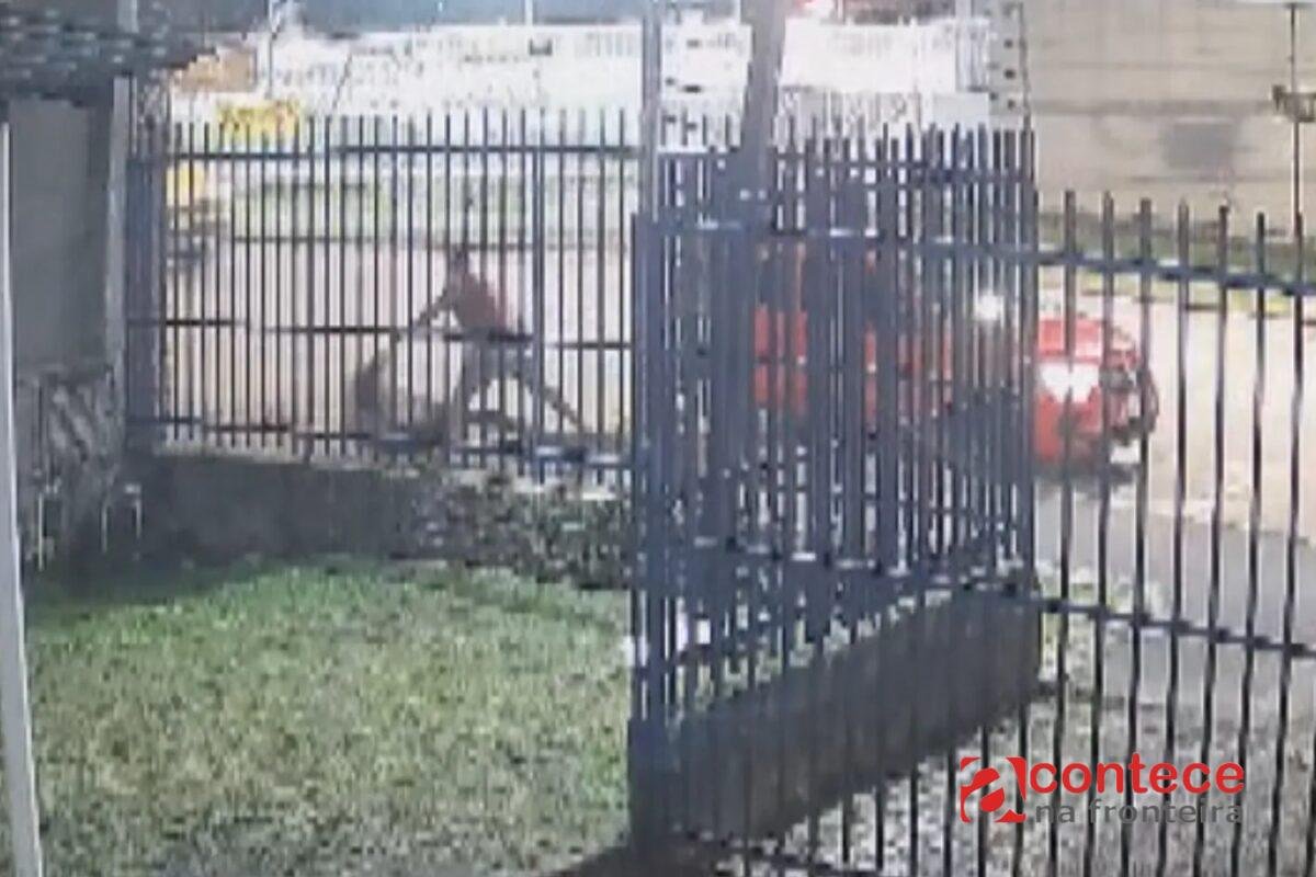 Agressão em Curitiba: passageira é jogada na calçada por motorista